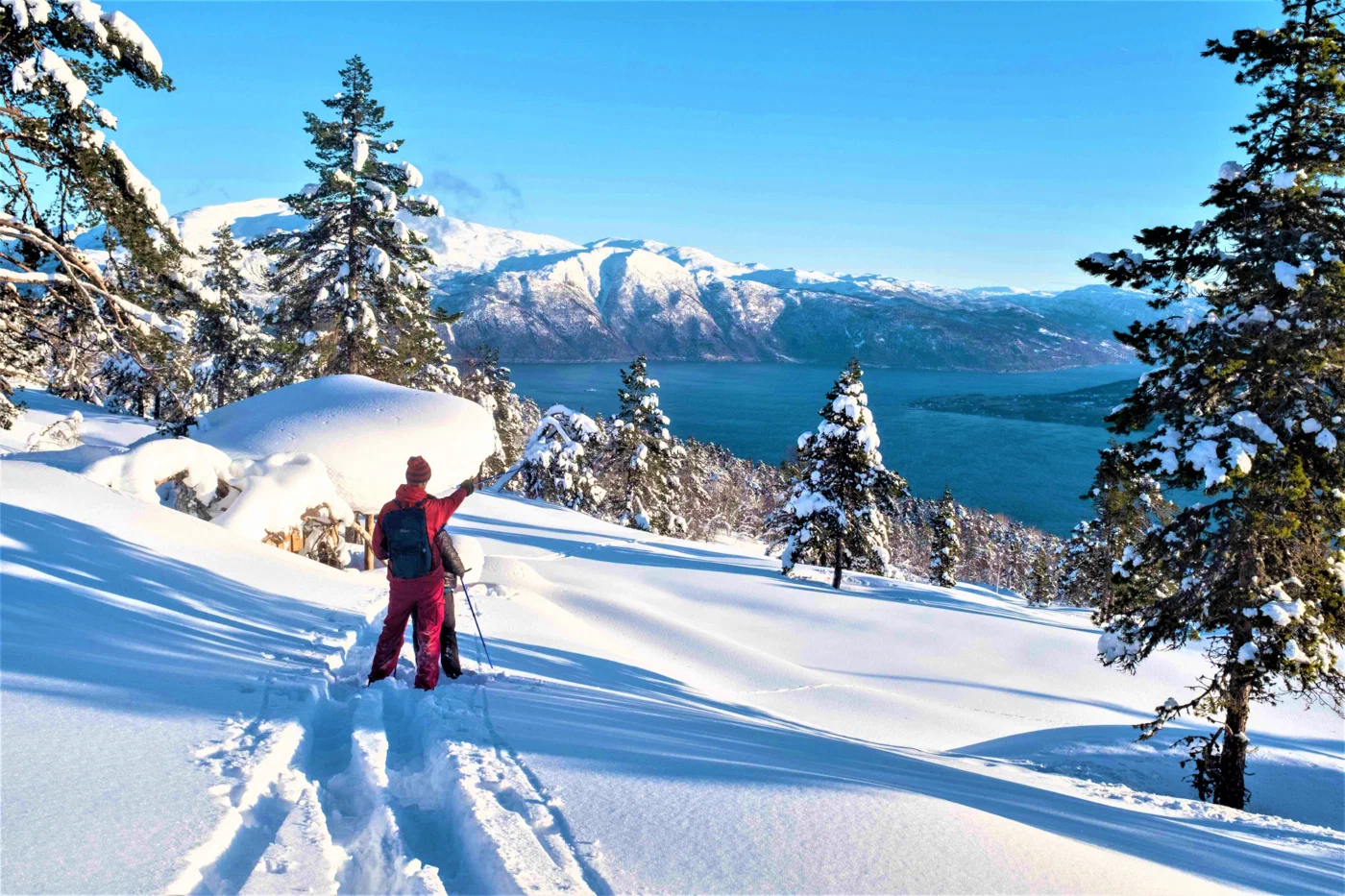"A person wearing a red jacket and backpack hiking in deep snow, pointing out at a stunning view of a blue fjord and snow-capped mountains in Balestrand, Norway. The sky is clear blue and the scene is full of snow-covered pine trees. It's a beautiful, sunny winter day."