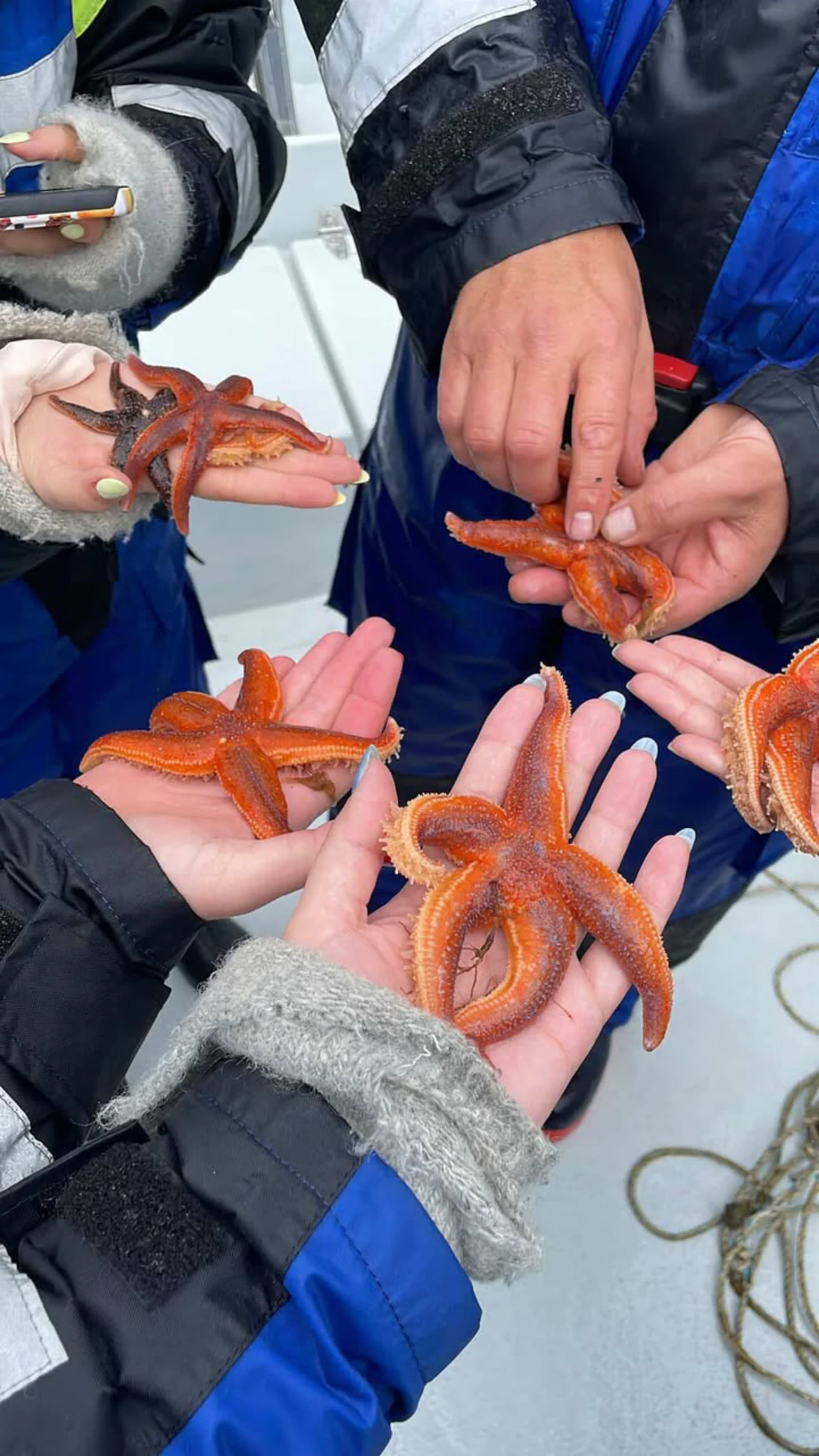 "Cold hands, warm hearts: A group of friends from New York City holding colorful starfish during a boat trip with Balestrand Fjord Angling. Close-up of hands and starfish in the Sognefjord, Norway, showcasing authentic nature experiences and the spirit of 'The Human Edge'."