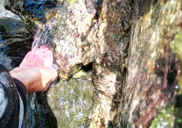 Drinking clean water form the source in Sognefjord, from boat with Captain Tor