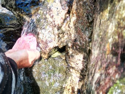 Drinking clean water form the source in Sognefjord, from boat with Captain Tor
