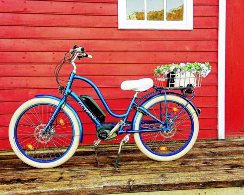 Electra Townie e-bike ready for rental in Balestrand with fjord and mountain views