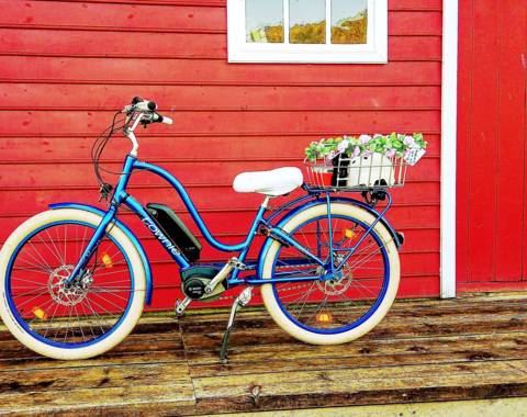 Electra Townie e-bike ready for rental in Balestrand with fjord and mountain views