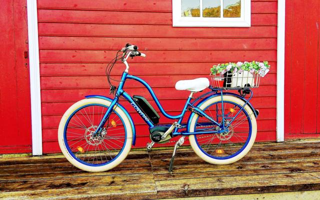 Electra Townie e-bike ready for rental in Balestrand with fjord and mountain views
