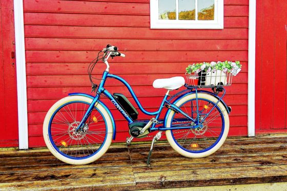 Electra Townie e-bike ready for rental in Balestrand with fjord and mountain views