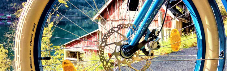 E-bike tour in Balestrand with scenic mountain and fjord landscapes