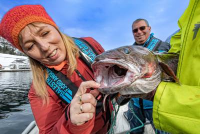 nyskerrig dame, skejjer munnen på fisk ig jakke i fine farger matauk i sognefjorden, brosme i fjærlandsfjorden