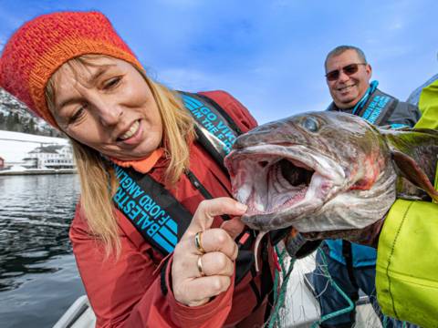 nyskerrig dame, skejjer munnen på fisk ig jakke i fine farger matauk i sognefjorden, brosme i fjærlandsfjorden