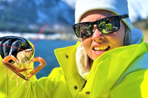 A woman in a yellow winter jacket and white beanie holds a live langoustine in her gloved hand, snowy mountains and blue fjord water behind.