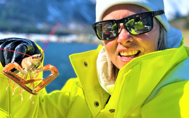 A woman in a yellow winter jacket and white beanie holds a live langoustine in her gloved hand, snowy mountains and blue fjord water behind.