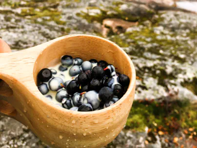 hiking in sognefjord picking blue berries in Balestrand 